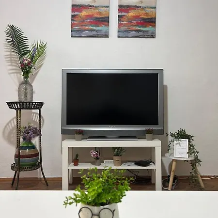 Nf's Lovely In Heart Of * Sarajevo